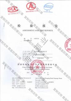 Inspection report flameproof single-phase motor