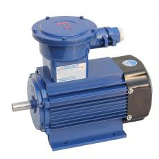 Three-phase explosion-proof motor