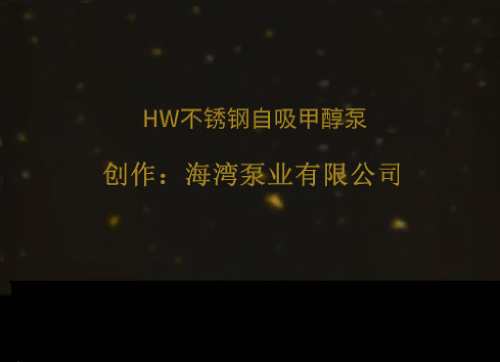 HW不锈钢自吸甲醇泵