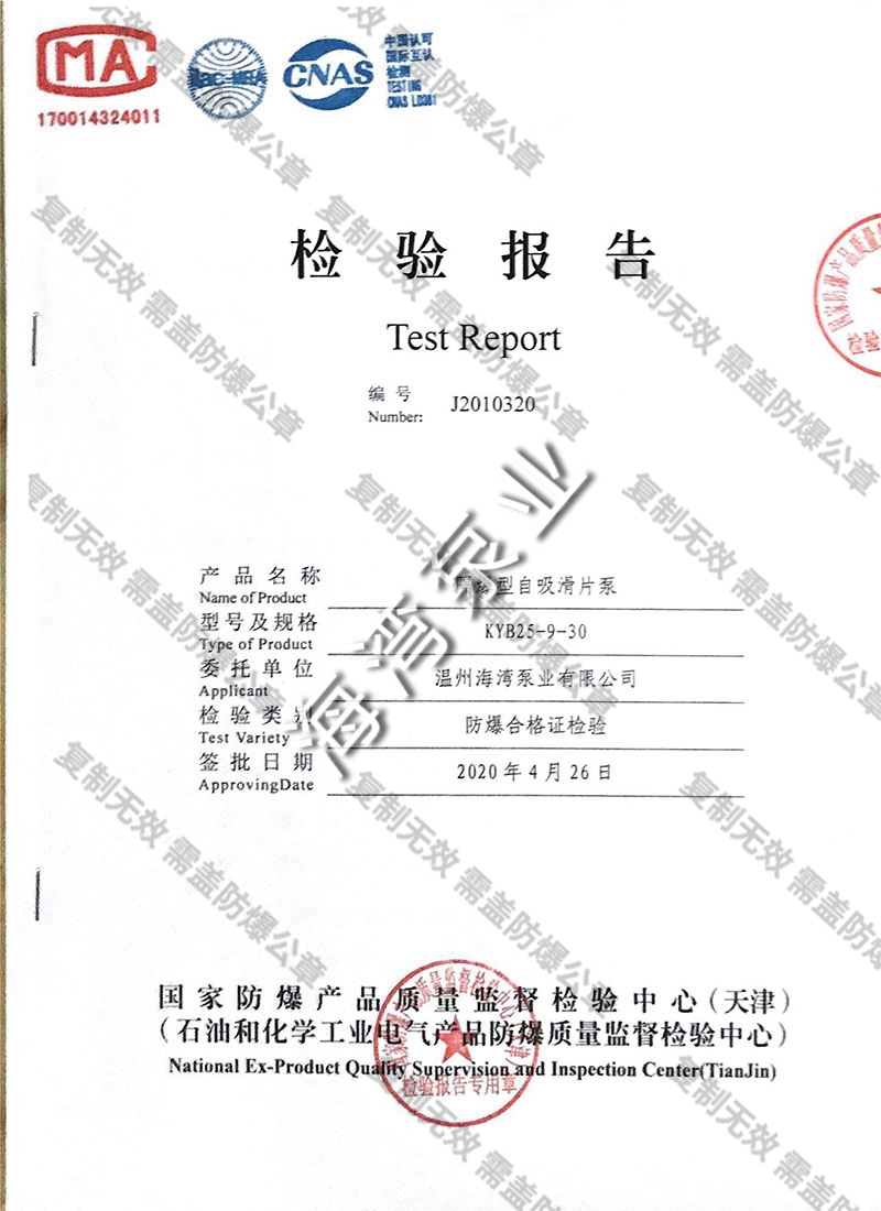 隔爆型自吸滑片泵检查报告