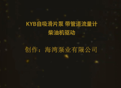 KYB自吸滑片泵 带管道流量计  柴油机驱动