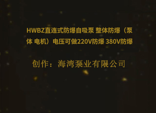 HWBZ直连式防爆自吸泵 整体防爆（泵体 电机）电压可做220V防爆 380V防爆