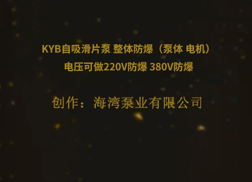 KYB自吸滑片泵 整体防爆（泵体 电机）电压可做220V防爆 380V防爆