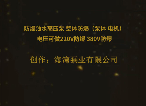 防爆油水高压泵 整体防爆（泵体 电机）电压可做220V防爆 380V防爆