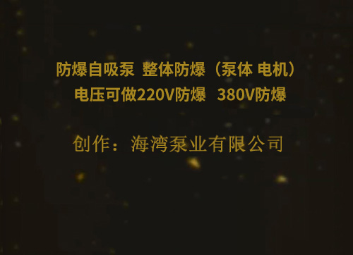 防爆自吸泵  整体防爆（泵体 电机）电压可做220V防爆   380V防爆