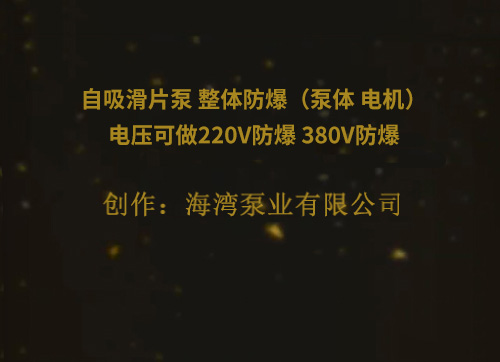 自吸滑片泵 整体防爆（泵体 电机）电压可做220V防爆 380V防爆