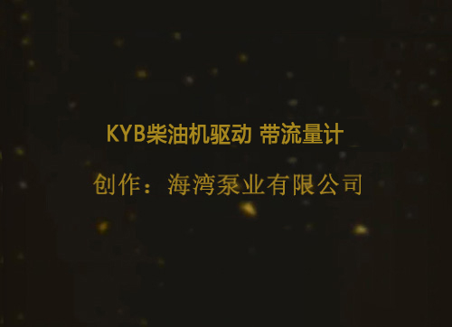 KYB柴油机驱动 带流量计