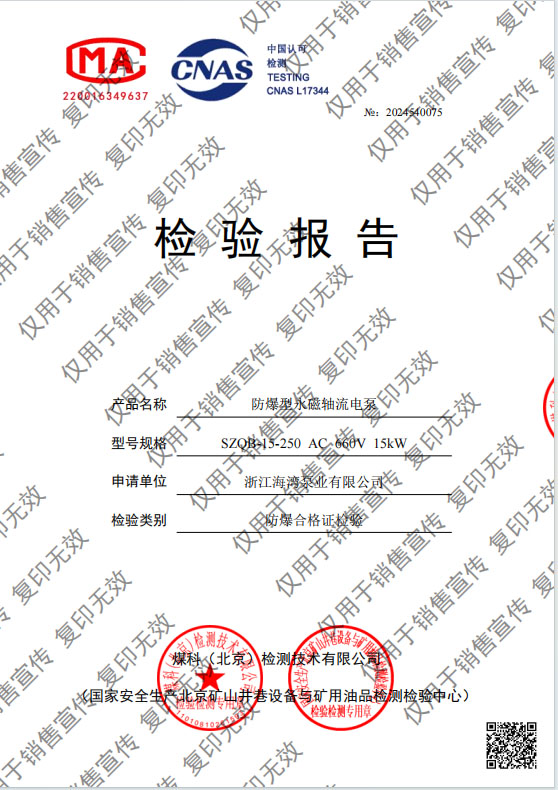 防爆型永磁轴流电泵 15kw