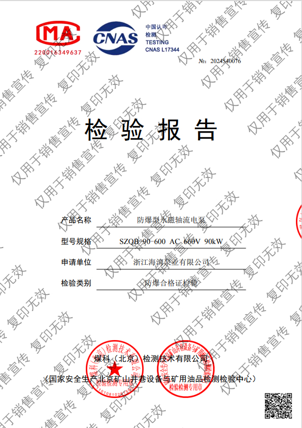 防爆型永磁轴流电泵检测报告