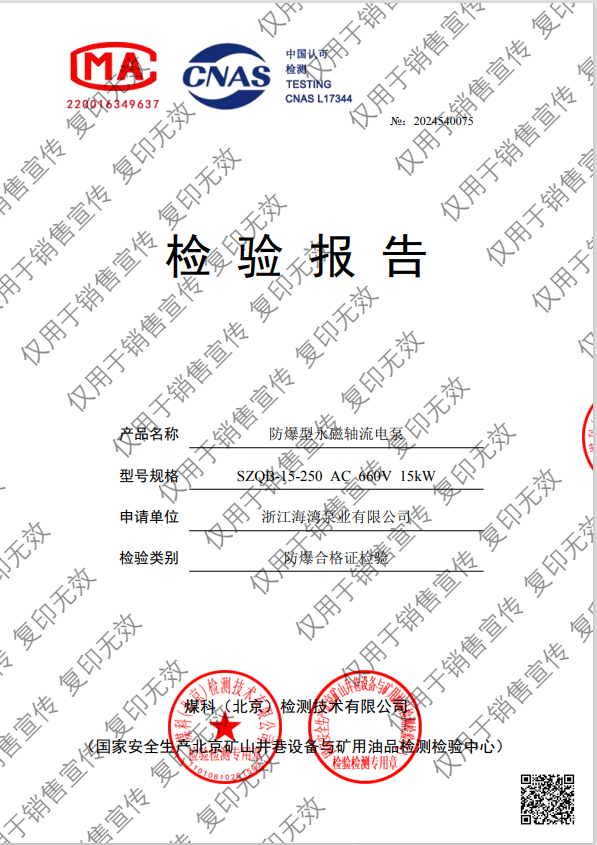 防爆型永磁轴流电泵检测报告 